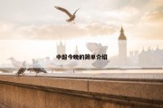 中超今晚的简单介绍