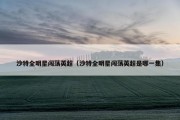 沙特全明星闯荡英超（沙特全明星闯荡英超是哪一集）