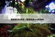 张健豪CBA球员（张健豪是cba球员吗）