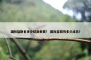 国际篮联有多少球员参赛？ 国际篮联有多少成员？