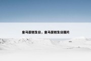皇马蛋糕生日，皇马蛋糕生日图片