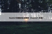 fm2017内锋好还边锋好（fm2017 内锋）