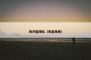 灰沙篮球队（灰鲨体育）