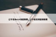 辽宁足协u14青超联赛，辽宁省足球超级联赛