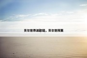 贝尔世界波欧冠，贝尔世预赛