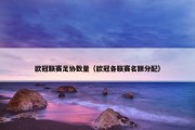 欧冠联赛足协数量（欧冠各联赛名额分配）
