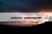 足球鞋有系列？ 足球鞋有系列型号吗？