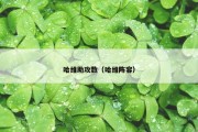 哈维助攻数（哈维阵容）