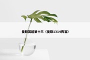 曼联英超第十三（曼联1314阵容）