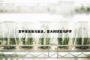 意甲球员像马塞洛，意大利球星马萨罗