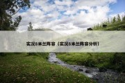 实况8米兰阵容（实况8米兰阵容分析）