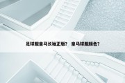 足球服皇马长袖正版？ 皇马球服颜色？