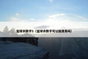 篮球衣数字5（篮球衣数字可以随便用吗）