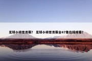 足球小将世青赛？ 足球小将世青赛全47集在线观看？