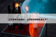 辽宁还有什么球队？ 辽宁的足球球队有几个？