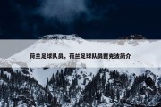 荷兰足球队员，荷兰足球队员贾克波简介