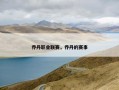 乔丹职业联赛，乔丹的赛事
