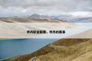 乔丹职业联赛，乔丹的赛事
