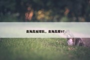 青海高反球队，青海高原97