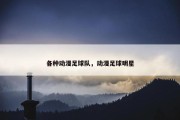 各种动漫足球队，动漫足球明星