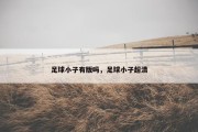 足球小子有版吗，足球小子超清