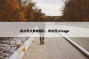 切尔西大黄蜂图片，切尔西trivago