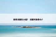 南非法国队小组？ 法国对南非ds？
