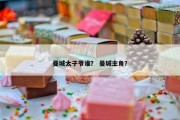曼城太子爷谁？ 曼城主角？