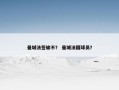 曼城法签输不？ 曼城法国球员？