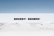 曼城法签输不？ 曼城法国球员？