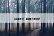 二娃拿欧冠？ 曼城拿过欧冠吗？
