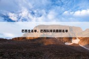 巴西圭名单，巴西队球员最新名单
