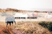 切尔西净收益（切尔西盈利）