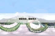橄榄球间，橄榄球dl