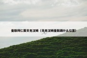 曼联拜仁赛贝克汉姆（贝克汉姆曼联踢什么位置）