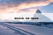 猜玩法介绍，玩猜一猜的游戏