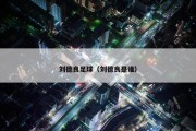 刘德良足球（刘德良是谁）