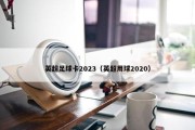 英超足球卡2023（英超用球2020）