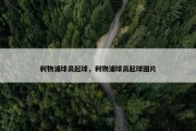 利物浦球员起球，利物浦球员起球图片