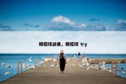 橄榄球战果，橄榄球 try