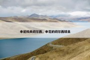 申尼科夫切尔西，申花的切尔西球员