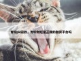 青松pk回放，青松财经是正规的融资平台吗