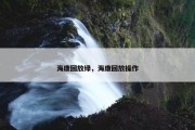 海康回放绿，海康回放操作