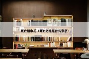 死亡组申花（死亡之组是什么意思）