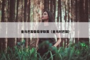 皇马巴黎葡萄牙联赛（皇马对巴黎）