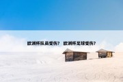 欧洲杯队员受伤？ 欧洲杯足球受伤？