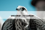 法师卡尔阵容？ 卡尔小法师出装？
