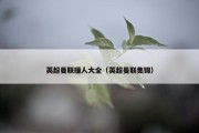 英超曼联撞人大全（英超曼联集锦）
