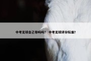 中考足球自己带吗吗？ 中考足球评分标准？