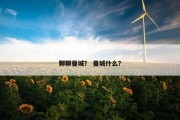 聊聊曼城？ 曼城什么？